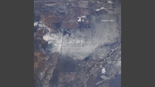 Miniature Rock Dwellers