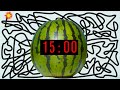 15 Minute Timer Bomb [WATERMELON] 🍉