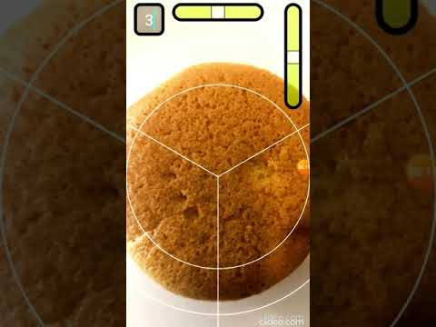 Division Filter for cake cutti