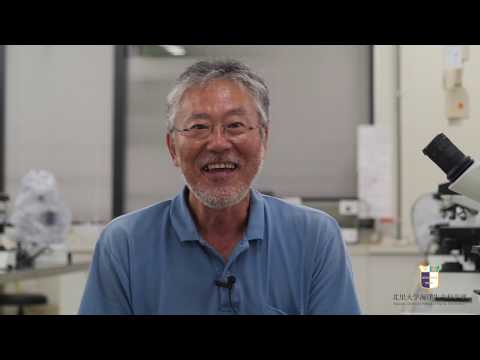 海洋生命科学科 出張講義『海藻の生態とその利用』北里大学 海洋生命科学部