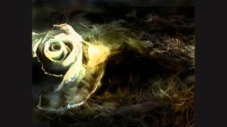 The Birthday Massacre &quot;Burn Away&quot;