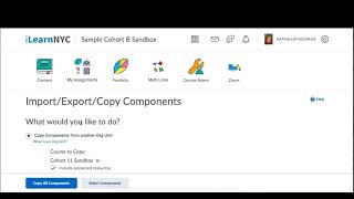 Import Export Copy Component in iLearnNYC LMS / Brightspace