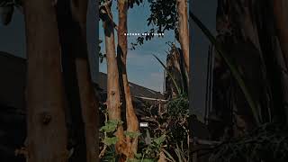 Download lagu Sholawat adem #shorts #videoshorts #videoshorts #storywa story wa salam tresno #storywa mp3 Download lagu Sholawat adem #shorts #videoshorts #videoshorts #storywa story wa salam tresno #storywa mp3