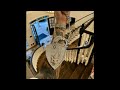 Punchmade Dev Hard In The Bank Instrumental