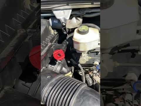 1955 Chevrolet Bel Air (CC-1933775) for sale in Punta Gorda, Florida