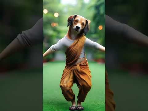 Dog dance #song #dog #doglover #dogdance #dogs #dogshorts #doglife #dogtraining