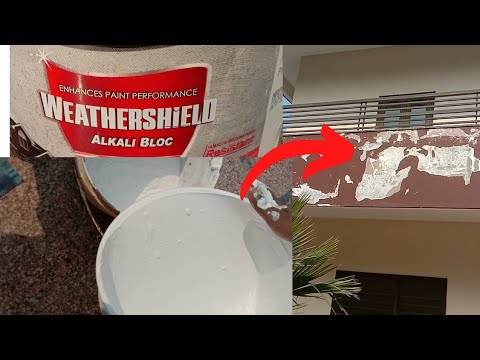 Dulux Weathershield Alkali Bloc Primer