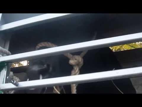 on route 4 {les routiers cattle style}