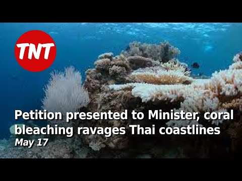 Petition presented to Health Minister, coral bleaching ravages Thai coastlines - May 17