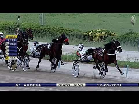 Aversa trotto 12 Maggio 2021 - 6° Corsa