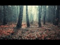 Tearliner - Regretto 