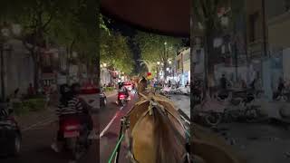 Download lagu Story wa naik delman di jogja mp3 Download lagu Story wa naik delman di jogja mp3