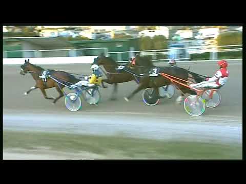 Trotto 16/02/2020 - 5ª corsa