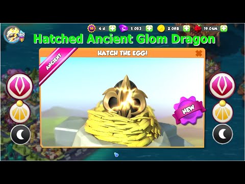 Hatched Ancient Glom Dragon-Dragon Mania Legends | Origin of Shadow Ancient Event | DML