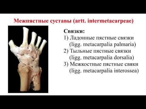 Домашние средства лечения суставов Может ли болеть сердце при грудном остеохондрозе