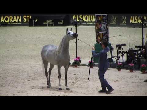 Memories of Paris 2018 - World Championships - Part 4 - Junior  Female - Group B