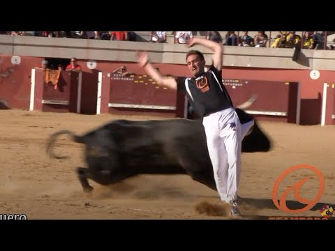 Bull-leaping competition in Torres de la Alameda 2013