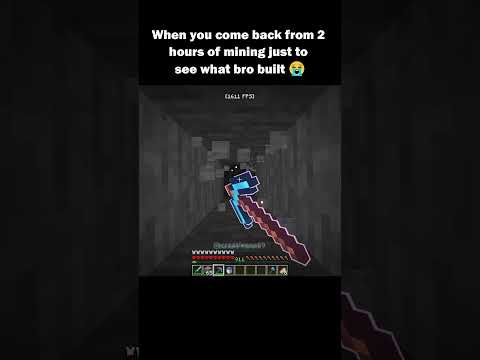 Seriously bro? #minecraft