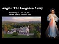 Explaining the Faith - Angels: The Forgotten Army