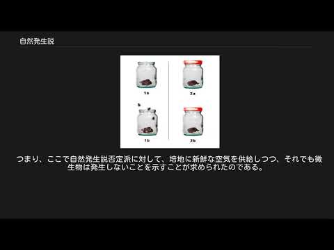 自然発生について詳しく解説
