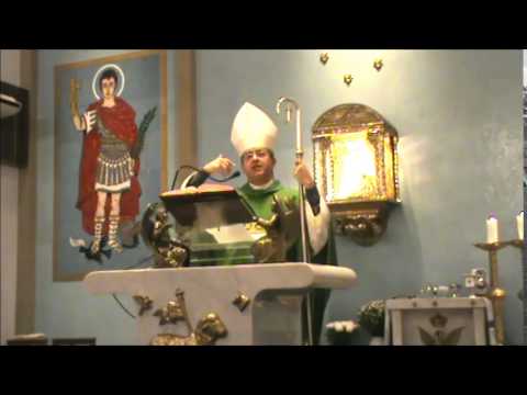 Homilia:O Milagre dos Pães e dos Peixes-Dom José Francisco Falcão-26/7/2015-Missa do 17º DC-PASMASE