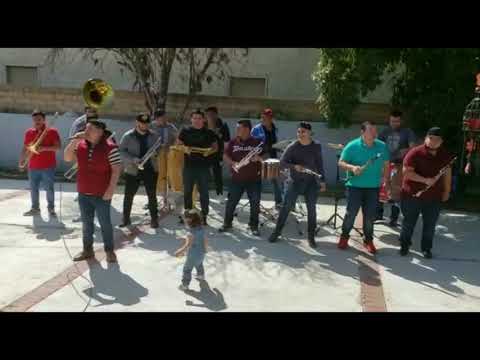 LA JALADORA BANDONA DE MAZATLAN CONTRATACIONES (323)590 7762