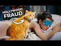 The Art of Cat Acting DEFAULT Thumbnail