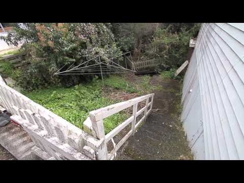 SOLD - 10 Allen Road, Grey Lynn -