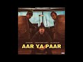 AAR YA PAAR Heisengarg Vishvesh Kant Shukla Culture Beats Official Audio