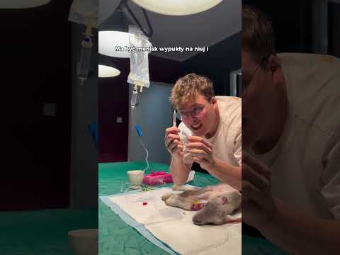 Pierwszy raz w życiu podałem kroplówkę mojemu małemu barankowi 😊