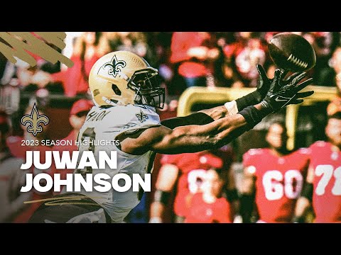 Juwan Johnson 2023 NFL Season Highlights | New Orleans Saints