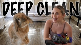 Deep Cleaning the Bunny Room (It is HORRIFYING)