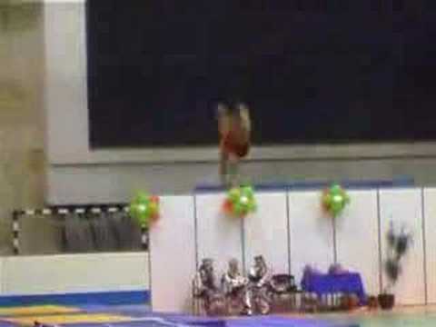 Bulgaria Tumbling World Cup - Mens Final