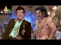 Yamadonga Movie Jr NTR And NTR Scene Jr NTR Priyamani Mohan Babu Sri Balaji Video
