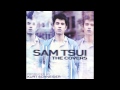 Sam Tsui - Just The Way You Are 