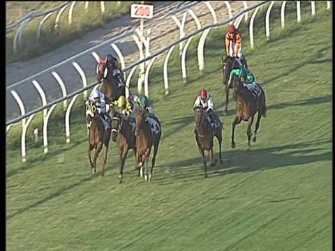 Galoppo 09/06/2017 - 6ª corsa