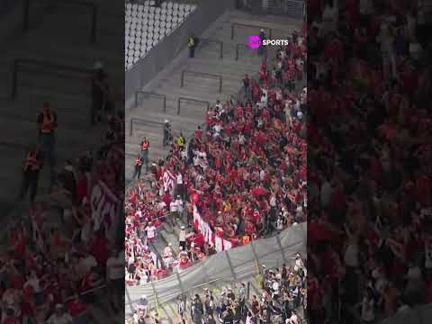 A NEO-QUÍMICA VIROU BEIRA-RIO! A TORCIDA DO INTER FEZ A FESTA NO ESTÁDIO DO TIMÃO #shorts