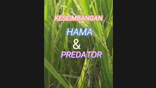 Download lagu KESEIMBANGAN HAMA & PREDATOR#Nada  Syahdu Chanel mp3