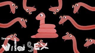 Male Snakes Pose As Ladies To Sneak Into Massive Orgies