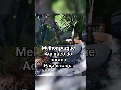 melhor resort com parque aquatico do pr. #resort #parqueaquatico #parana #resortfamilia