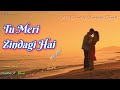 Tu Meri Zindagi Hai | Karaoke Track | Mehdi Hasan