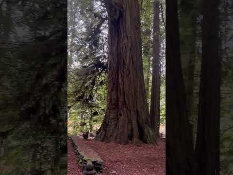 Winter camping with nobody around