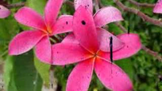 avery sick of hating your guts lyri