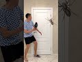 slammed the spider