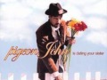 Pigeon John - What is Love?