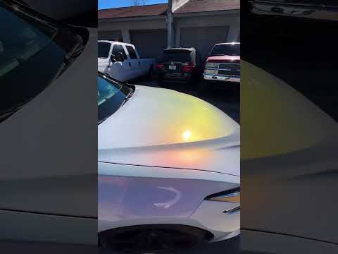 Nova Burst Megashift | White Base