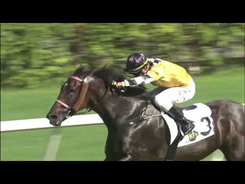 10/7/2022 (813) All Riches -  Derek Leung