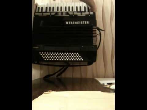 Weltmeister accordion