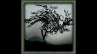 SALINE GRACE - MERCY AND DELIVERANCE (OFFICIAL MUSIC VIDEO)