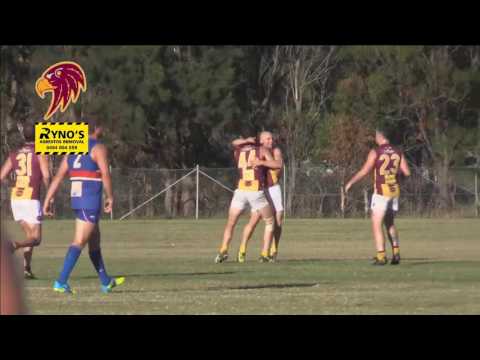 2016 BDAFL Round 6 Highlights - Warners Bay Bulldogs v Cardiff Hawks